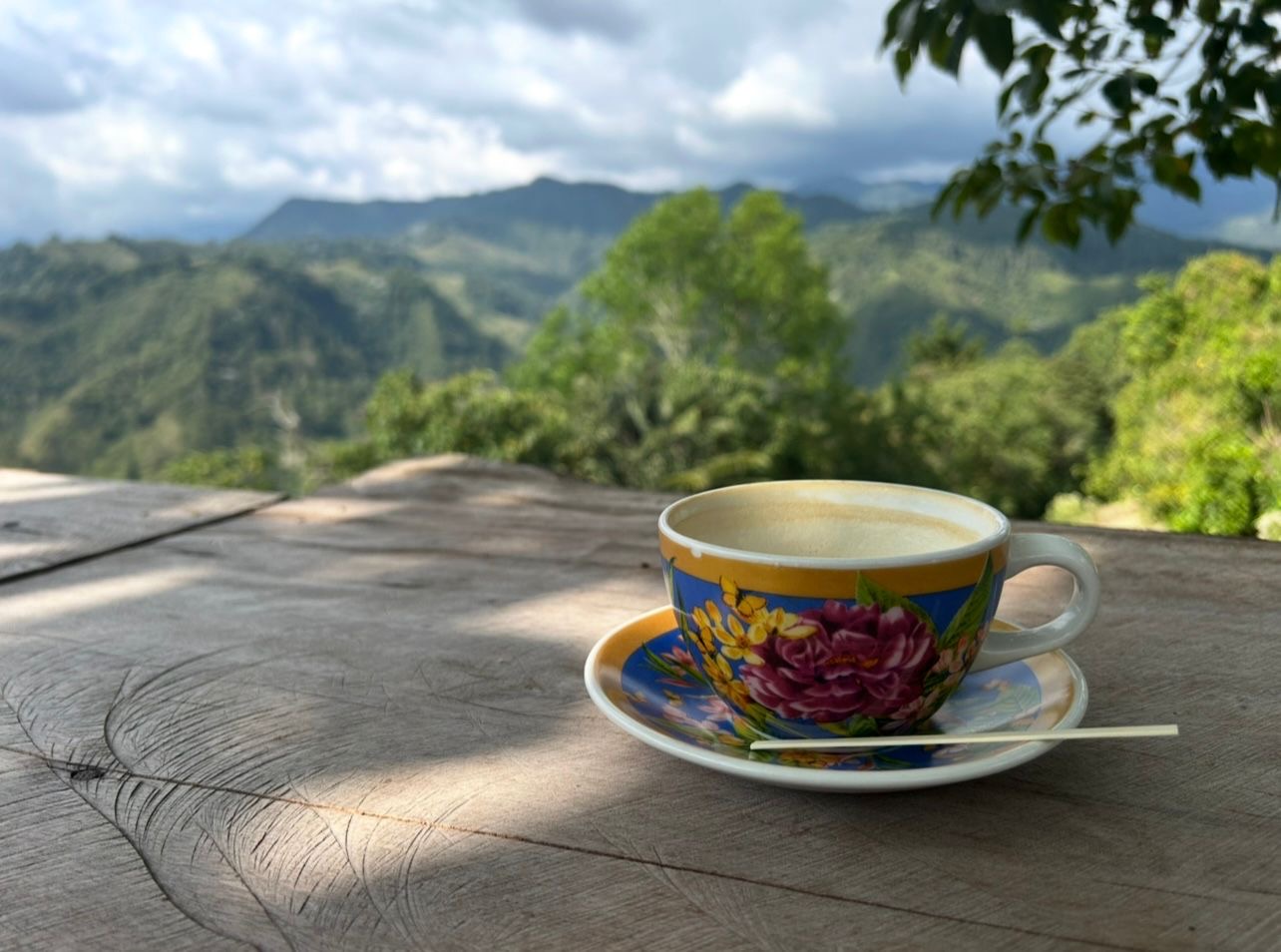 A cup of tea overlooking green hills